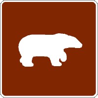 Bear Viewing Area