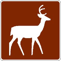 Deer Viewing Area