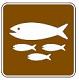 Fish Hatchery