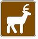 Deer Viewing Area