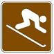 Downhill Skiiing