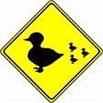 Duck Crossing