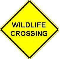 WILDLIFE CROSSING