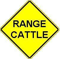RANGE CATTLE