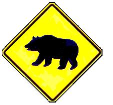 Bear Crossing