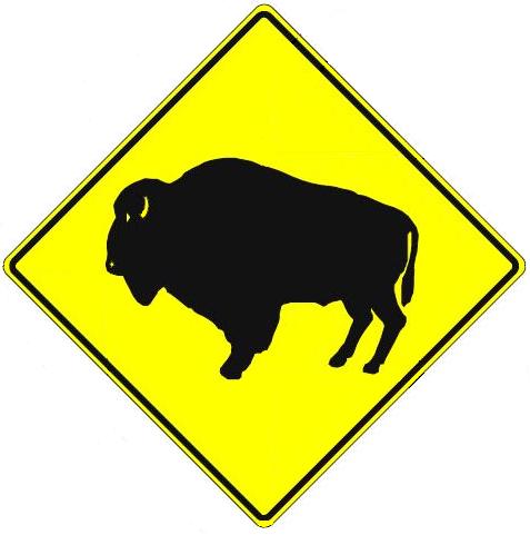 Buffalo