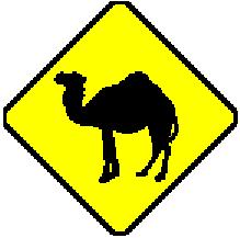 Camel Crossing