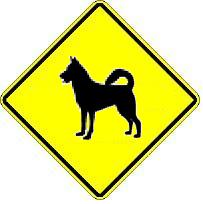 Dog Crossing
