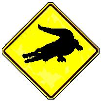 Gator Crossing