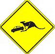 Kangaroo Crash