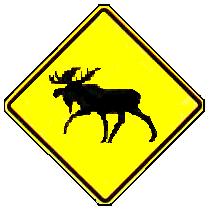 Moose Crossing