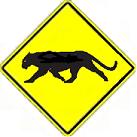 Panther Crossing