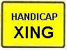 HANDICAP XING