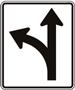 Optional Movement Lane Control