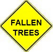 Fallen Trees - 18-, 24-, 30- or 36-inch