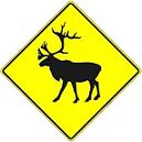 Caribou Crossing symbol -18,- 24-, 30- or 36-inch