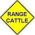 Range Cattle - 18-, 24-, 30- or 36-inch