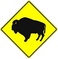 Buffalo Crossing - 18-, 24-, 30- or 36-inch